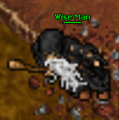 File:Wiseman.png