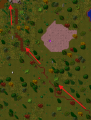 Thumbnail for version as of 23:30, 10 July 2026